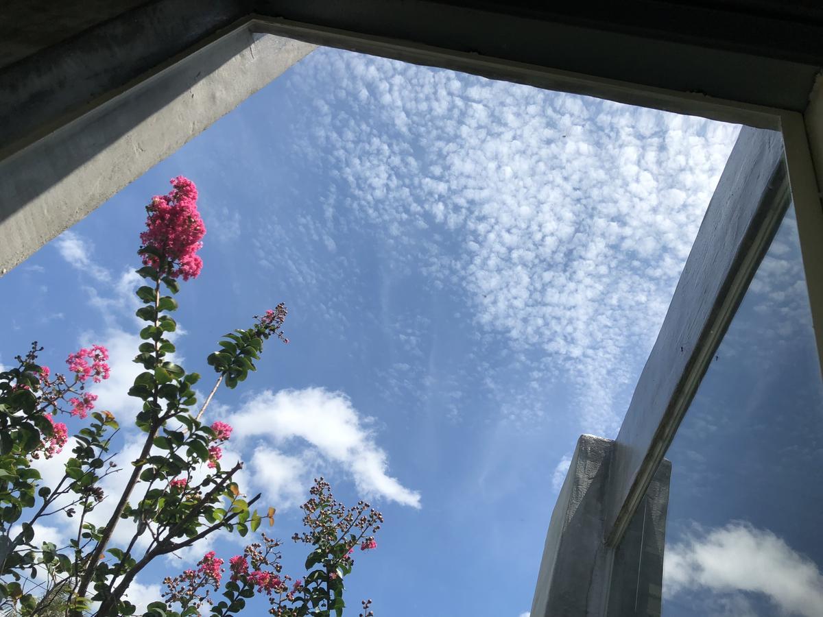 Mooning The Hill Apartment Manzhou ภายนอก รูปภาพ